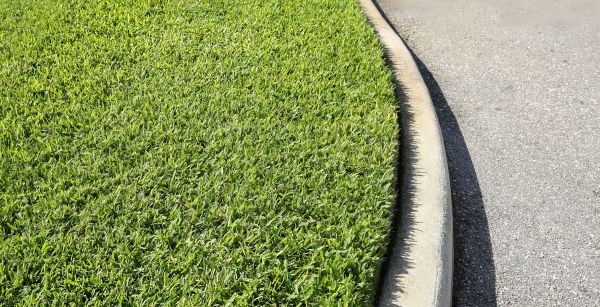 Cost of Street Curb Repair in Holly Springs