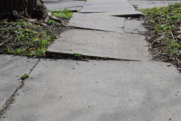 Cost of Trip Hazard Removal in Holly Springs
